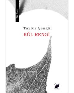 Kül Rengi