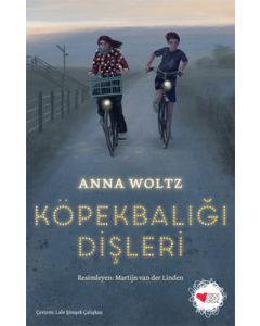 Köpekbalığı Dişleri