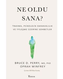 Ne Oldu Sana?