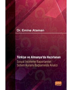 Türkiye ve Almanya’da Hazırlanan Sosyal İnceleme Raporlarının Sistem Kuramı Bağlamında Analizi