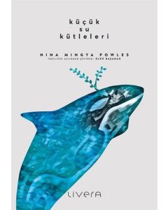  Küçük Su Kütleleri