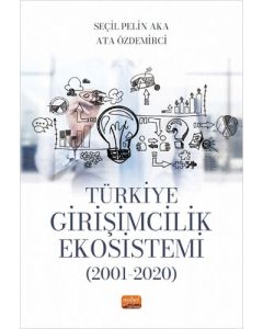 Türkiye Girişimcilik Ekosistemi (2001-2020)