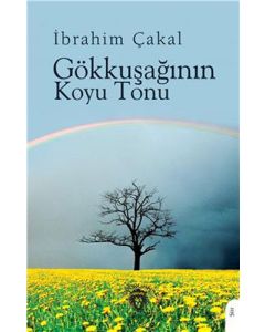 Gökkuşağının Koyu Tonu