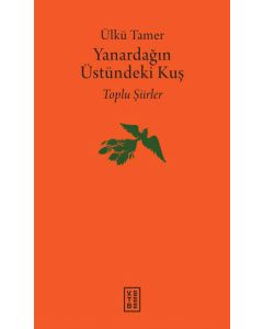 Yanardağın Üstündeki Kuş