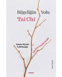 Bilgeliğin Yolu Tai Chi