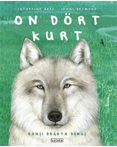 On Dört Kurt (Ciltli)