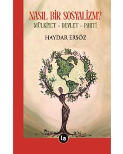 Nasıl Bir Sosyalizm?