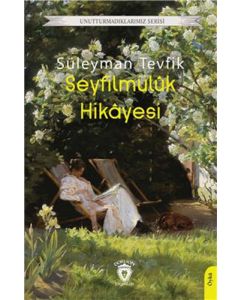 Seyfilmüluk Hikayesi
