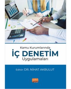 Kamu Kurumlarında İç Denetim Uygulamaları
