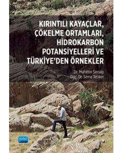 Kırıntılı Kayaçlar Çökelme Ortamları Hidrokarbon Potansiyelleri ve Türkiye’den Örnekler