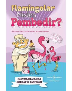 Flamingolar Neden Pembedir? 