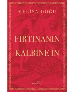 Fırtınanın Kalbine İn