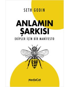 Anlamın Şarkısı