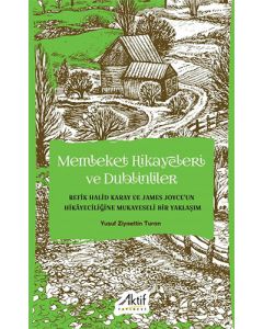 Memleket Hikayeleri ve Dublinliler