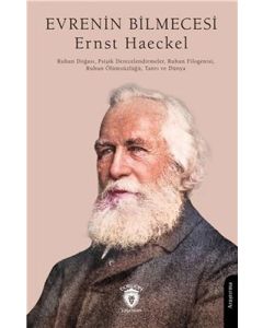 Evrenin Bilmecesi