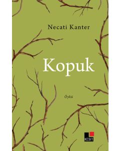 Kopuk