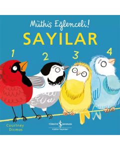 Müthiş Eğlenceli! - Sayılar 