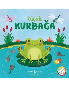 Küçük Kurbağa