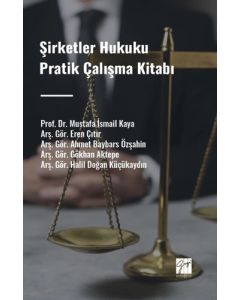 Şirketler Hukuku Pratik Çalışma Kitabı