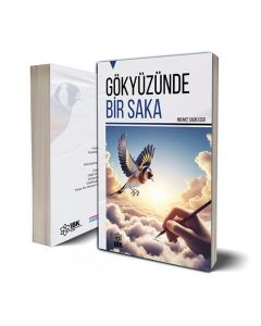 Gökyüzünde Bir Saka