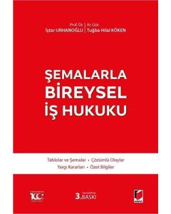 Şemalarla Bireysel İş Hukuku