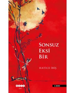  Sonsuz Eksi Bir