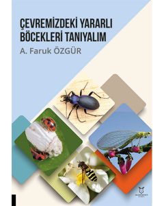 Çevremizdeki Yararlı Böcekleri Tanıyalım