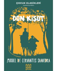 Don Kişot
