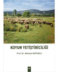Koyun Yetiştiriciliği