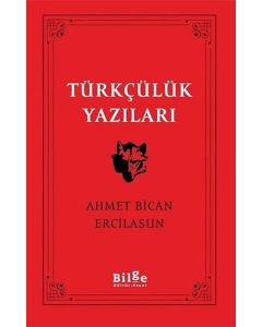 Türkçülük Yazıları