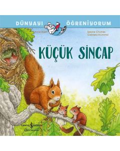 Küçük Sincap