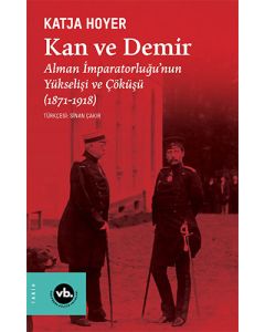 Kan Ve Demir