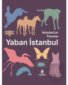 İstanbul'un Faunası Yaban İstanbul (Ciltli)