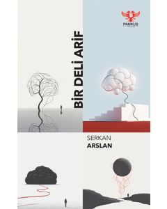 Bir Deli Arif