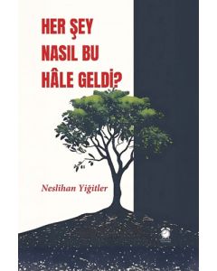Her Şey Nasıl Bu Hâle Geldi?