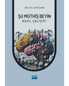 Şu Müthiş Beyin