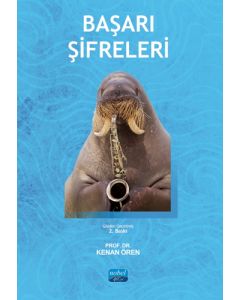 Başarı Şifreleri