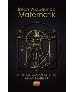 İnsan Vücudunda Matematik