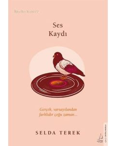 Ses Kaydı