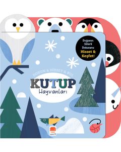 Dokun & Hisset & Bul - Kutup Hayvanları