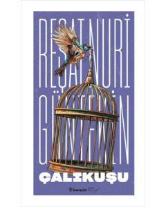 Çalıkuşu