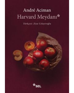 Harvard Meydanı