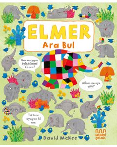 Elmer Ara Bul (Ciltli)