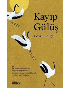 Kayıp Gülüş