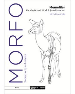 Morfo - Memeliler Karşılaştırmalı Morfolojinin Unsurları
