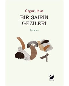 Bir Şairin Gezileri