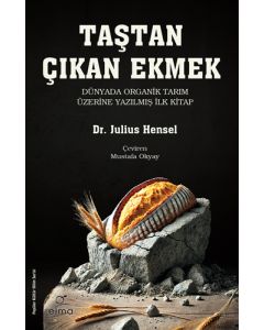 Taştan Çıkan Ekmek