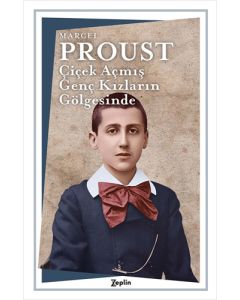 Çiçek Açmış Genç Kızların Gölgesinde