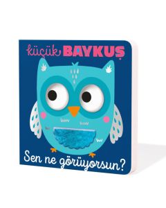 Küçük Baykuş - Sen Ne Görüyorsun? (Ciltli)