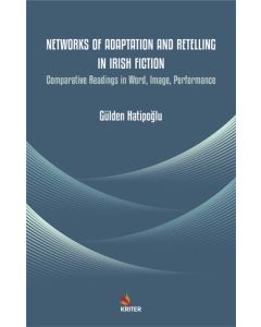 Networks of Adaptation and Retelling in Irish Fiction
